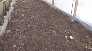 Выращивание рассады капусты в теплице | Посев капусты на рассаду