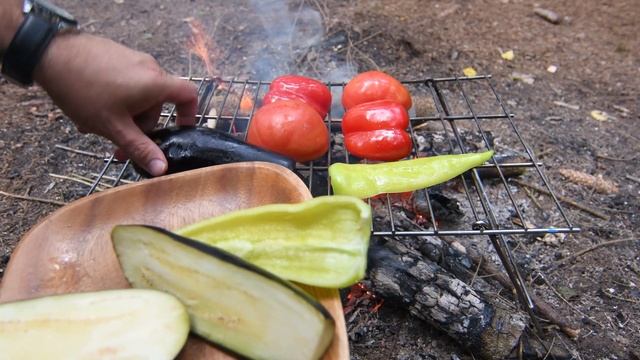 24 часа в лесу.Ночёвка с девушкой в палатке.Приготовили овощи на костре