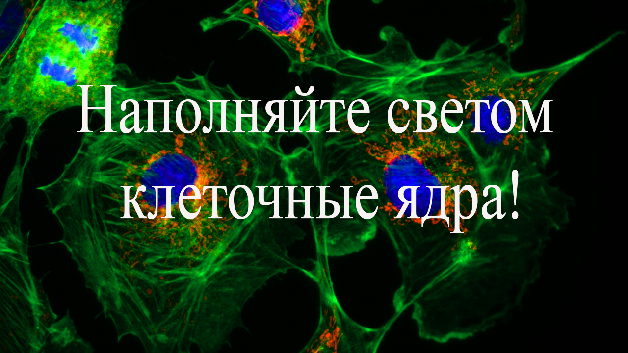 Световые клетки. Световая клетка. Наполнение светом клеток. Наполнение света клеток.