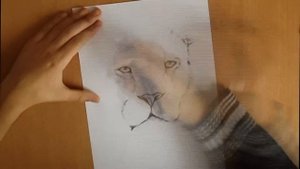Как нарисовать льва! Любой сможет нарисовать!