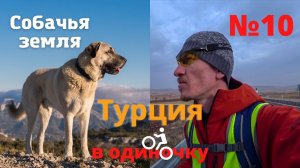 1500 км. на велосипеде по Турции зимой. Собачья земля. #10