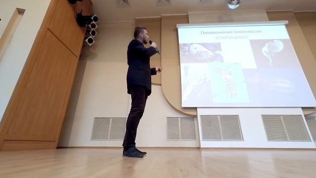 15x4 - 15 минут о моллюсках смотреть онлайн