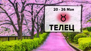 ТЕЛЕЦ ♉ 20 - 26 Мая 2024 | Расклад таро на неделю для знака Зодиака Телец