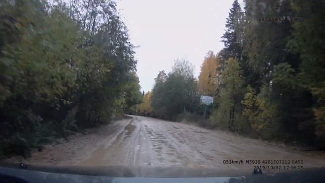 Дорога Волхов Кириши по правому берегу реки Волхов