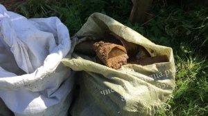 Как чистить колодец в Ленинградской области в 5 этапов?