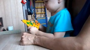 Занятия дома с ребенком при сенсорной алалии, ЗРР, РАС (Как не надо делать ?)