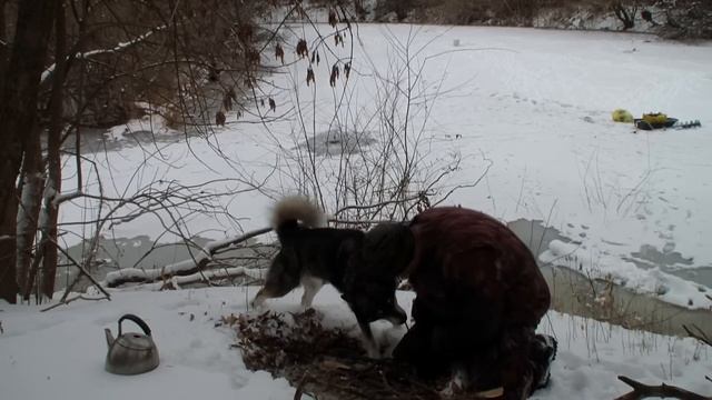 ИКРУ ЩУКА НАБРАЛА - ЗА СОБОЮ УВЕЛА! ЗИМНЯЯ РЫБАЛКА НА МОРМЫШКИ И ЖЕРЛИЦЫ В САМОМ КЛЁВОМ МЕСТЕ смотреть онлайн