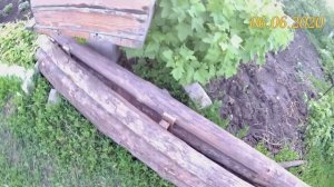 Лесная земляника. Выращивание лесной земляники у себя на участке