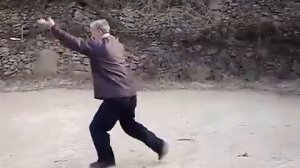 Учитель Чжан Фалун (張發龍) демонстрирует Цисин танлан цюань (七星螳螂拳), также тайцзи мэйхуа танлан цюань