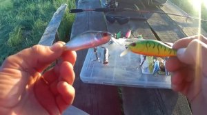 Мой набор лучших воблеров на щуку весной и летом