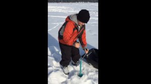 Зимняя рыбалка на окуня.Ice Fishing for perch  2017