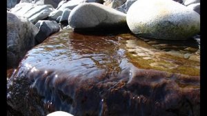 Природа Советская Гавань