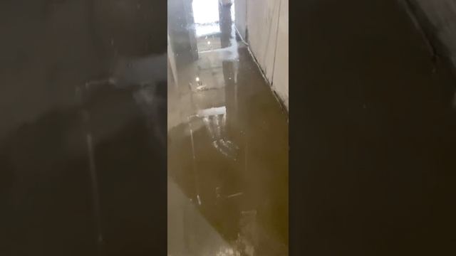 Проливка стяжки водой,для крепкости. смотреть онлайн