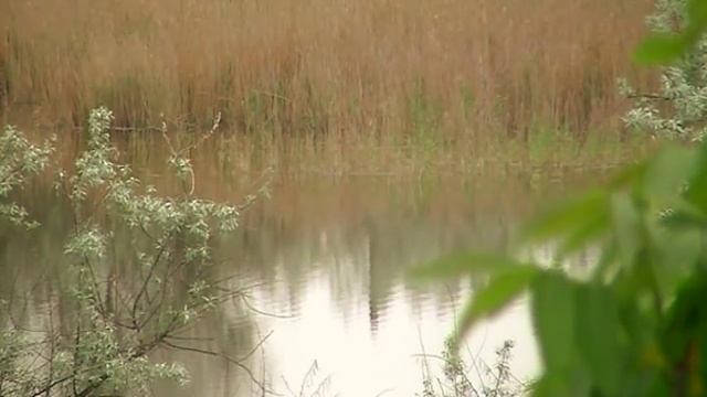 МНЕ 103 И Я КАРДИОХИРУРГ - ВОТ МОЙ СЕКРЕТ ЗДОРОВЬЯ 6.05.2018 смотреть онлайн