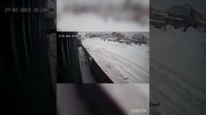 МКСМ 800 в деле. Уборка свежего, рыхлого снега.