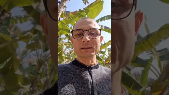 Как активировать главный источник счастья смотреть онлайн