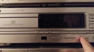 pioneer pd 7300