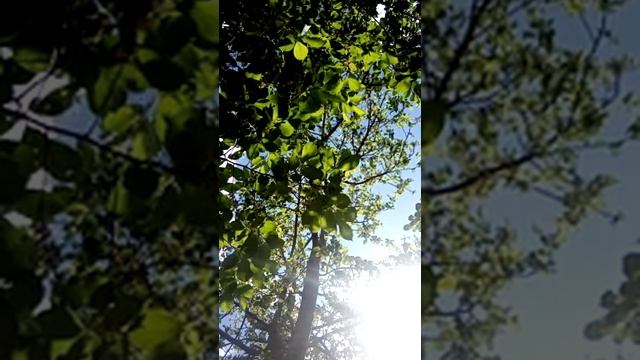 23.Зачем тебе умирать?.mp4