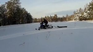 Dingo T125  по лесу