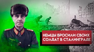 Почему немцы бросили своих солдат в Сталинграде? Неофициальная версия