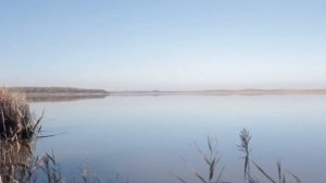 лебяжий остров