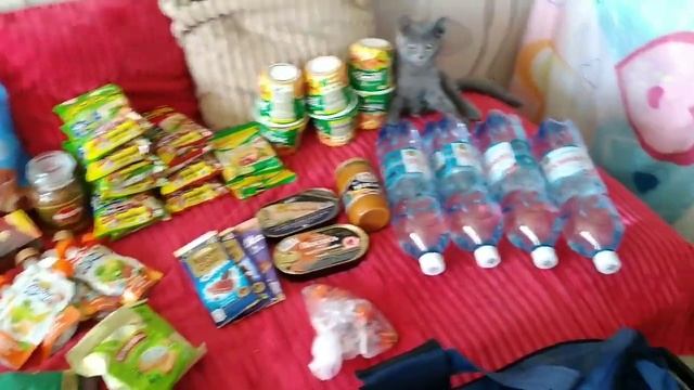 Еда в поезд/Едем трое суток с детьми/Собираем сумку. смотреть онлайн