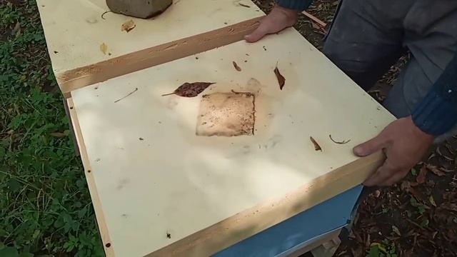 Как Определить Сколько Рамок Оставлять в Зиму Пчёлам. смотреть онлайн