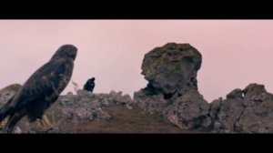 КИНО "СКИФ" - БРУТАЛЬНОЕ ЗРЕЛИЩЕ