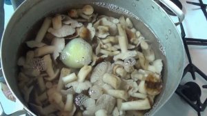 Как Солить Песочники.