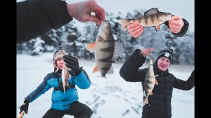 Сумасшедшие окуни Финского залива. Первая зимняя рыбалка подписчика. На рыбалку с подписчиком.