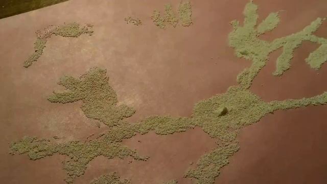 Чем занять ребенка. Играем дома. Игры с манкой. Развитие малыша от года смотреть онлайн