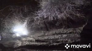 Катаемся на нивах по бездорожью.