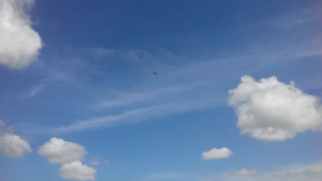 Облет самолета от Art-tech Waltz смотреть онлайн