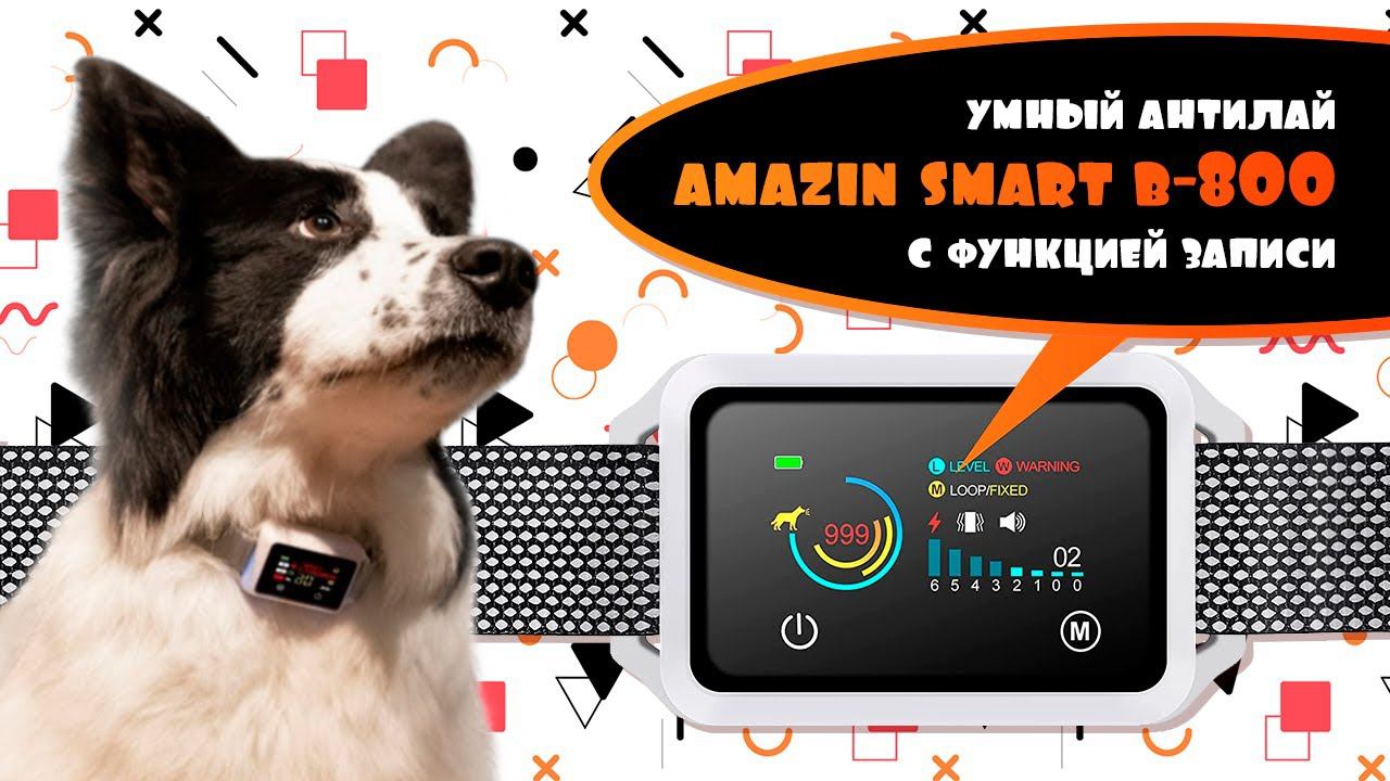 Обзор умного антилай ошейника SmartB-800 | Amazin.su