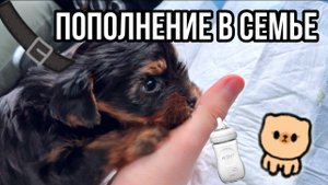 ЗНАКОМЬТЕСЬ , ЭТО РОКСИ ?