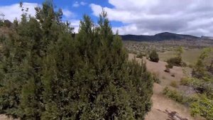 КУТЛАКСКАЯ бухта. Весёлое, Судак. Крым 2020