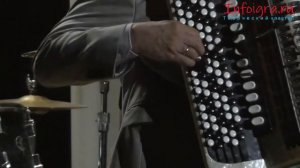 Аккордеонные буги. Баян.