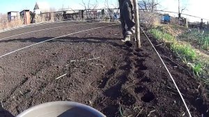 Посадка картофеля необычным способом