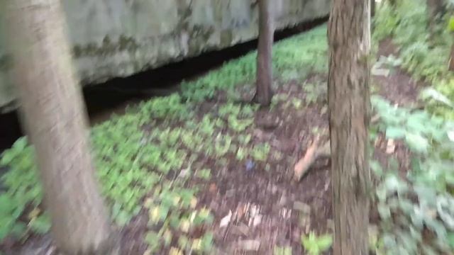 Включение.Перископ - Арки Володарского моста 1 часть (диггер) смотреть онлайн