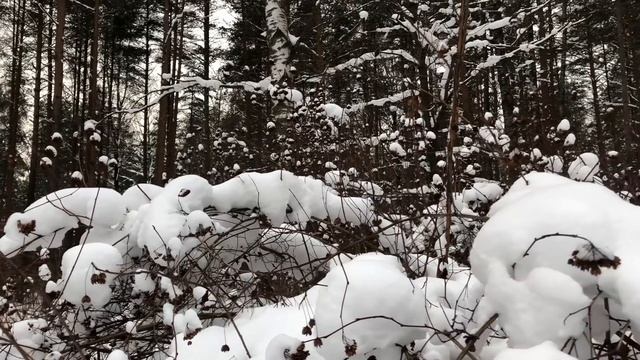 Жена хотела лишь посмотреть, что будет, но втянулась... Интересные истории измен, аудио рассказ