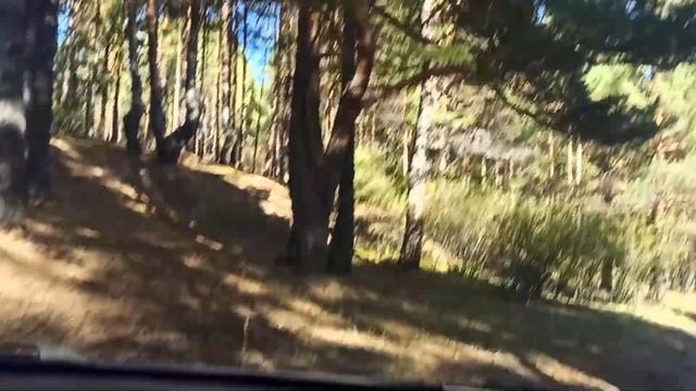 Россия. Сибирь. Ангарск. Байкал. Тункинская долина. Жемчуг. Аршан. Саяны. 28-30.09.23г.(03.10.23г.) смотреть онлайн