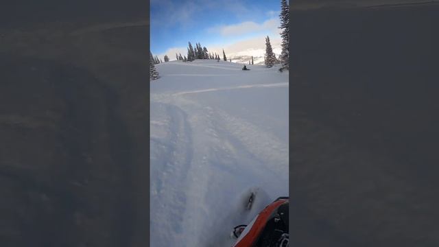 We love playing on this hill! Day 16 (1/20/2023) #lynx ##turbo #skidoo #snowmobilefail #850