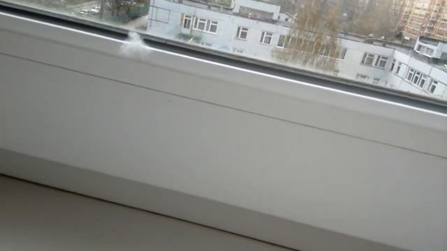 Как ухаживать за сирийскими хомячками