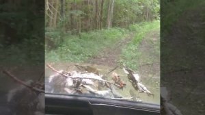 Езда по бездорожью. OffRoad на УАЗ.
