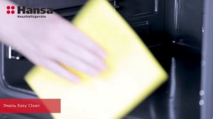 Духовой шкаф Hansa BOES68477 Vision