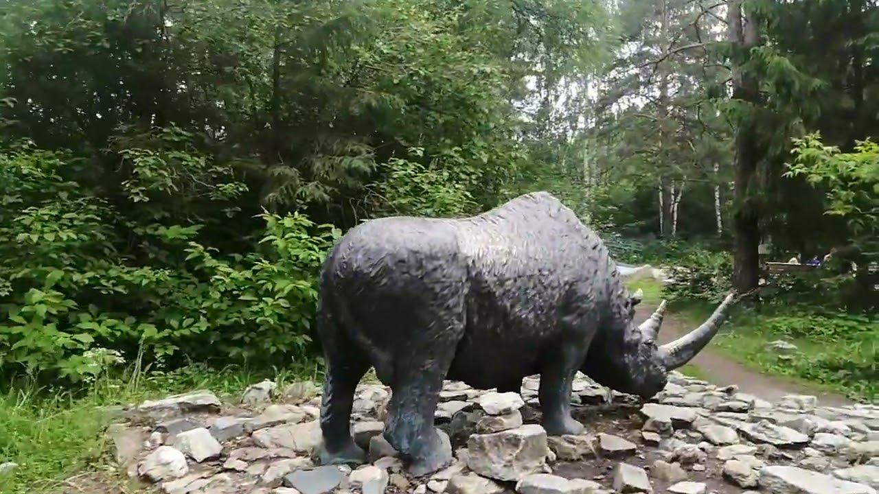 Шарташский лесопарк.