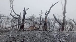 Мощное видео с передовой, пробирающее до костей. Окопная правда