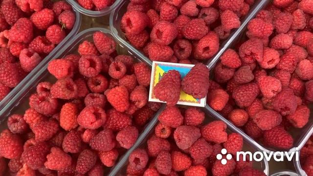 Літня малина Тадмор