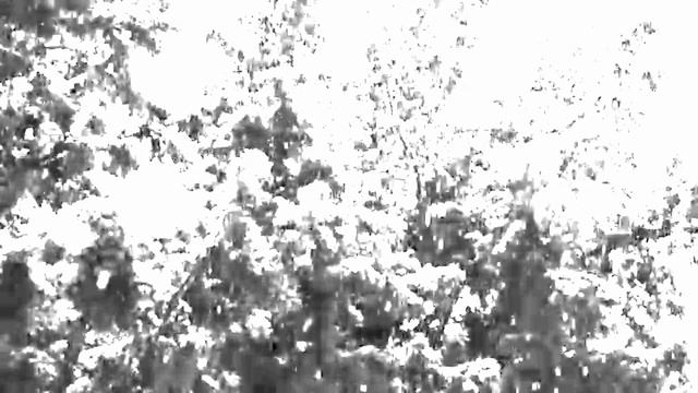 EATEOT - Stage 3 - Visual Album смотреть онлайн