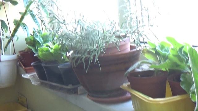 389.Как утеплены наши лоджии